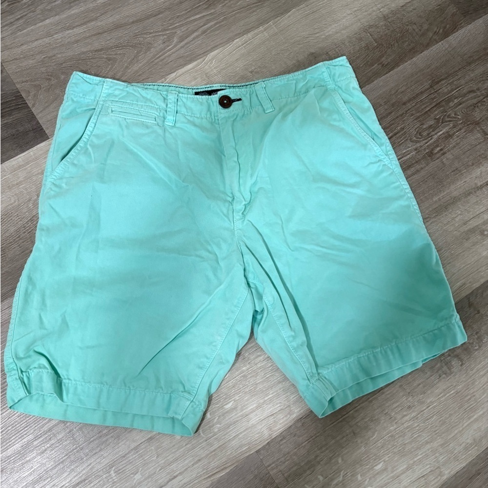American Eagle Outfitters Mint Green Flat Front Shorts